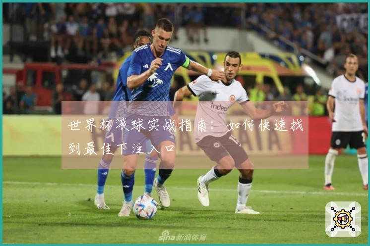 世界杯滚球实战指南：如何快速找到最佳下注入口