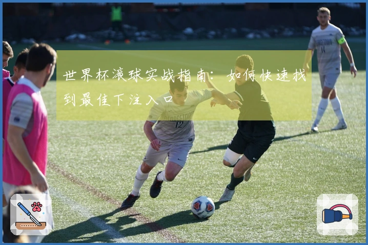 世界杯滚球实战指南：如何快速找到最佳下注入口