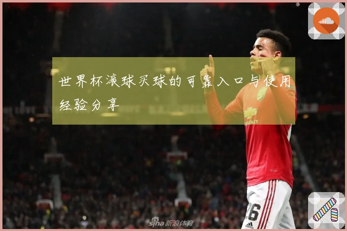 世界杯滚球买球的可靠入口与使用经验分享