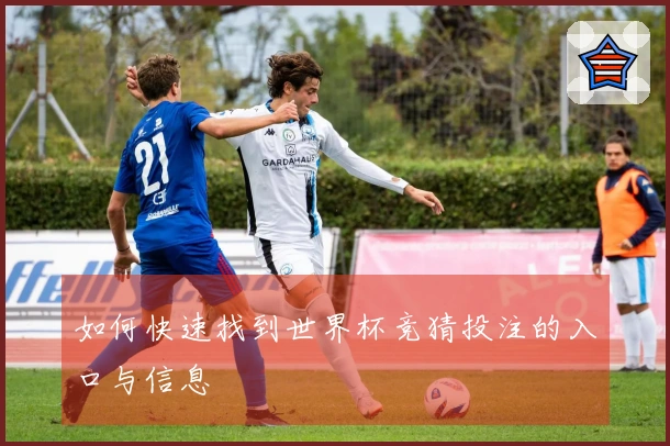 如何快速找到世界杯竞猜投注的入口与信息