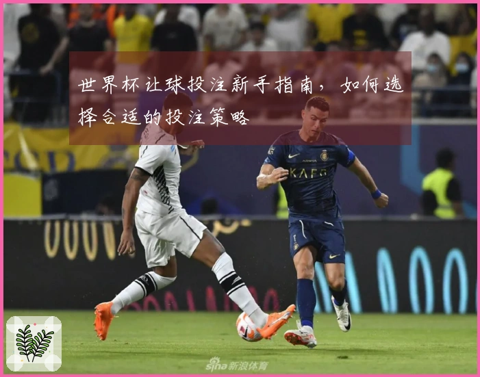 世界杯让球投注新手指南，如何选择合适的投注策略
